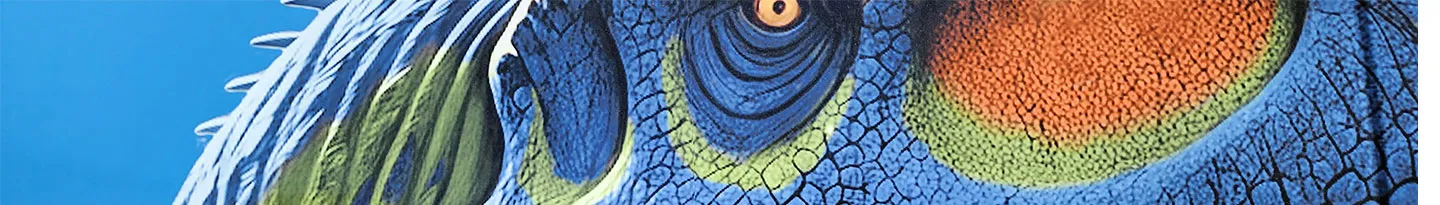 Merry Museum - Free Admission Evening