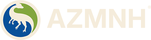 Arizona Museum of Natural HIstory