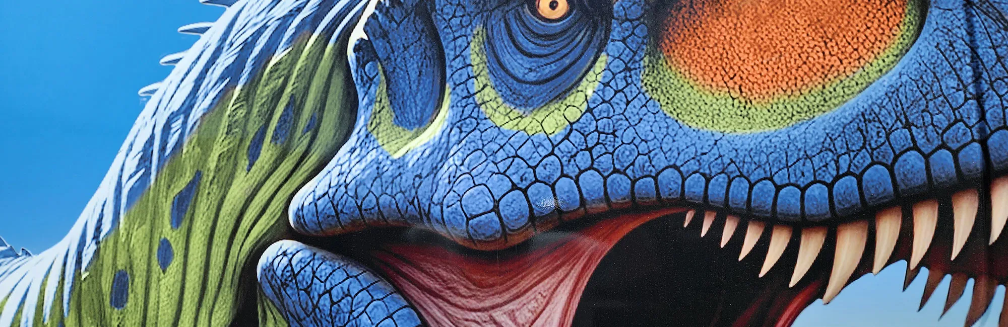 Arizona Museum of Natural HIstory