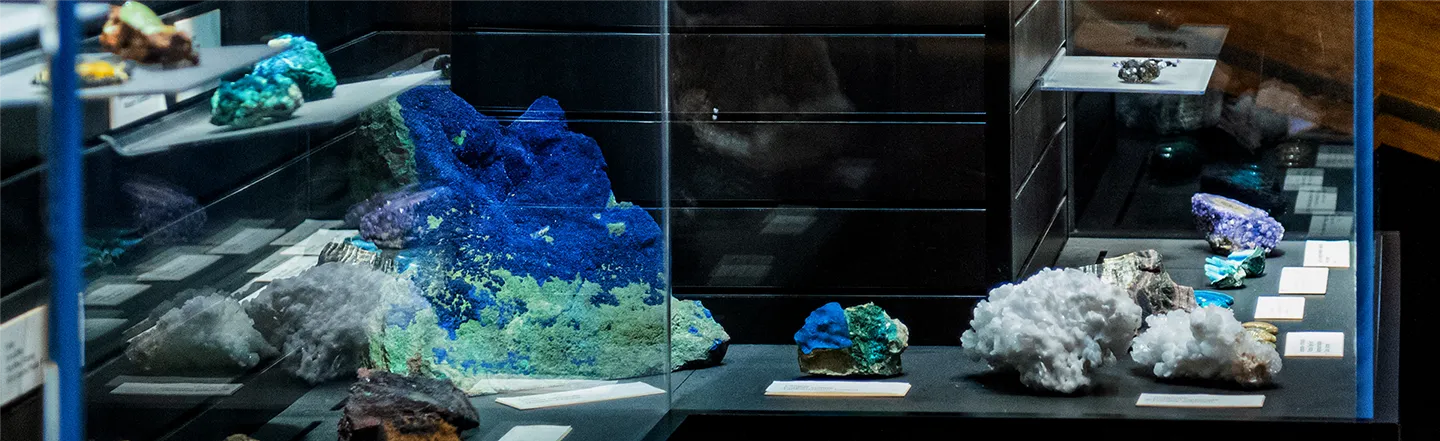 Arizona Museum of Natural HIstory