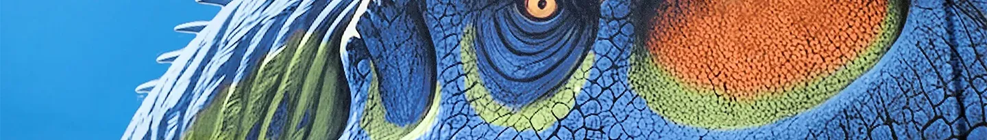 Arizona Museum of Natural HIstory